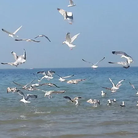 Le Clos Jolly, Location De Vacance à Aubin Sur Casa vacanze