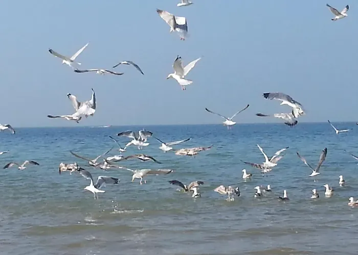 Le Clos Jolly, Location De Vacance A Aubin Sur Prázdninový dům